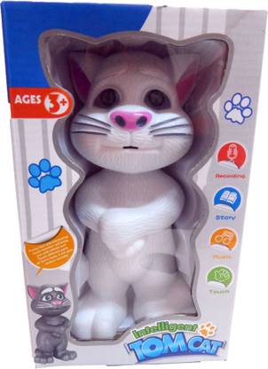 Teddy Berry Talking Tom Cat