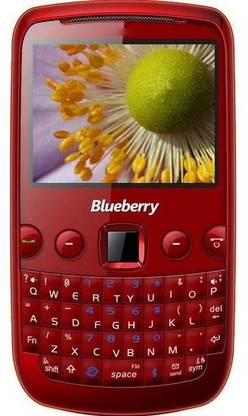 SPICE Blueberry Mini