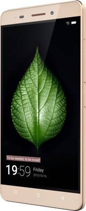GIONEE Marathon M5 (Golden, 32 GB)