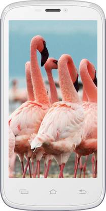 Celkon Signature HD (White, 4 GB)
