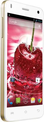 LAVA Iris X1 (White and Gold, 16 GB)