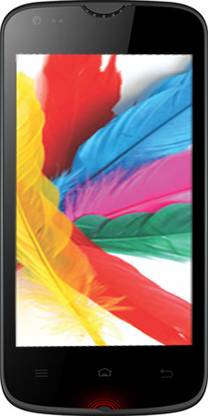 Celkon Q44 (Gold, 8 GB)