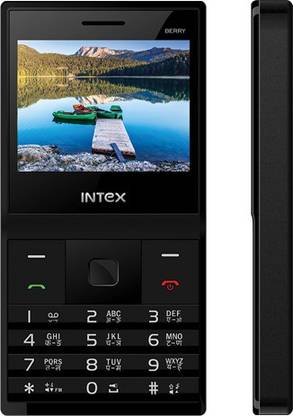 Intex Turbo Berry