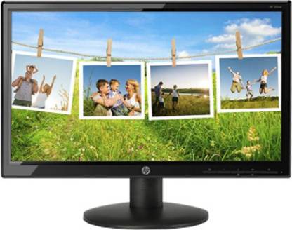 HP 49.28 cm (20 inch) HD+ LED Backlit TN Panel Monitor (20wd)