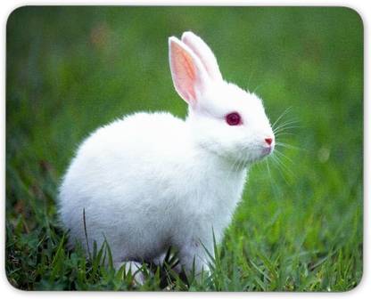 Digiclan White Rabbit With Red Eye Non Slip Base Mousepad
