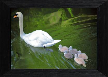 MLH Handicraft Gift Set Swan with Baby Swans With UV Print Canvas 9.5 inch x 13.5 inch Painting