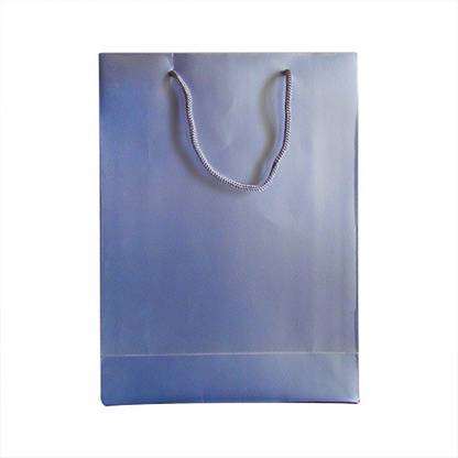 Paper Bag Zone Solid Party Bag
