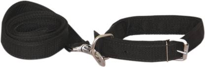 Pethub Dog Collar & Leash