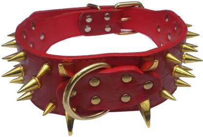 Pets Planet Stylish Brass Spike Dog Collar