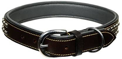 Petsup Dog Everyday Collar