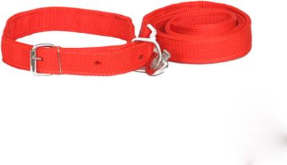 Pethub Dog Collar & Leash
