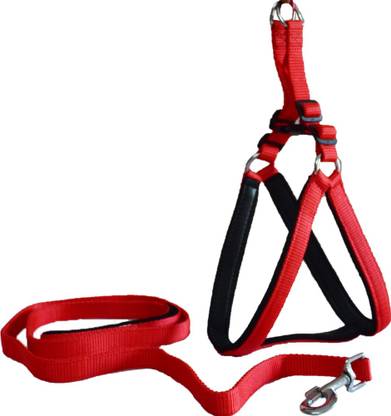 PAW ZONE Dog Harness & Leash