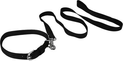 TommyChew Regular Dog Everyday Collar