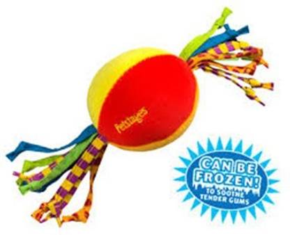 Petstages Puppy Cool Teether Chew Toy For Dog