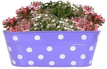 TrustBasket DOTTED OVAL RAILING PLANTER - PURPLE Plant Container Set