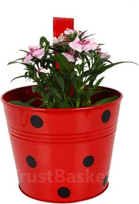 TrustBasket Single pot Railing planter - Red with Dots Plant Container Set