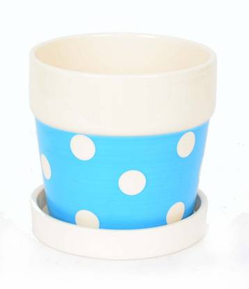 scrafts Polka Dot With Tray - Bl Plant Container Set