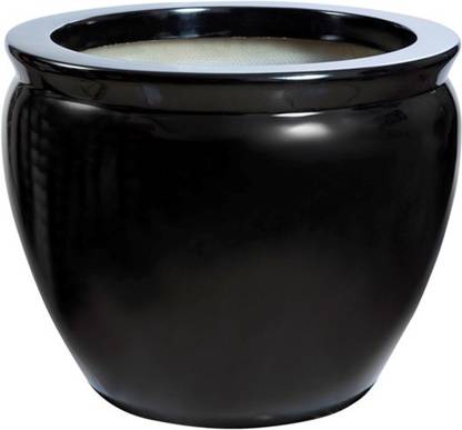 Gover GFP 242 Fish 31X25X19 Plant Container Set