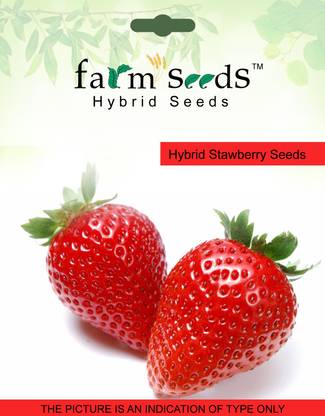 Farm Seeds Hybrid Strawberry Seed