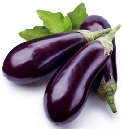 Seedlings india EggPlant Seed