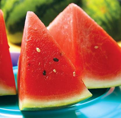 ShubhBhakti ShubhBhakti-Hybrid Watermelon Seeds Seed