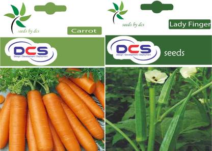 DCS Carrot & Lady Finger Seeds Seed