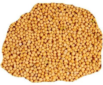 ShubhBhakti Pili Rai - Yellow Mustard Seed