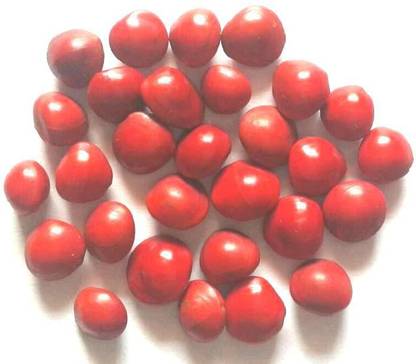 Seedbazaar Rakt Chandan Seed