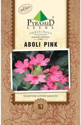 Pyramid Seeds Aboli Pink Seed