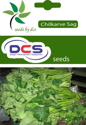 DCS Chilkarve sag seed Seed