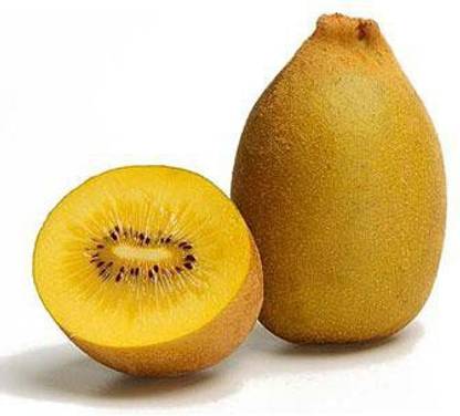 NATIONAL GARDENS Golden Kiwi Fruit Seeds by National Gardens Seed