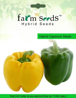 Farm Seeds Hybrid Capsicum Seed