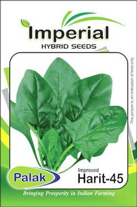 Imperial Seeds Spinach Seed