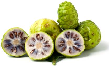 Seedbazaar Noni Seed