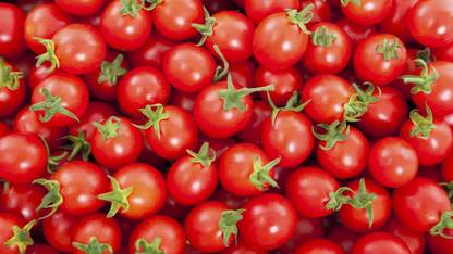 Farm Seeds Cherry Tomato Seed