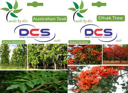 DCS Australian Teak & Dhak tree Seed
