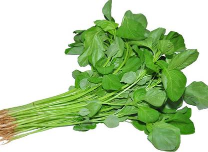 Divine Tree Spinach / Paalak Seed