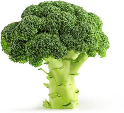 Seedlings india Broccoli Seed