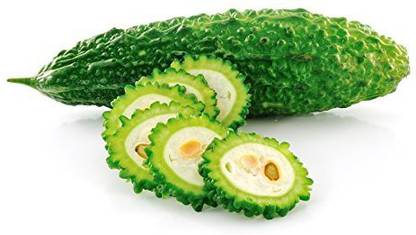 Aywal Vegetable seed -Bitter Gourd - Karela Seeds F1 Hybrid Seed