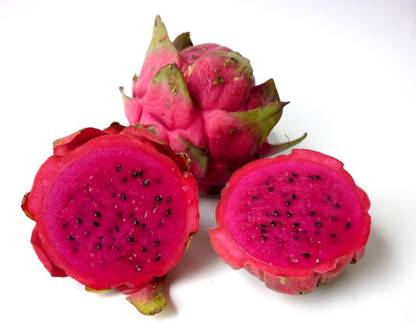 NATIONAL GARDENS Purple Dragon Fruit Seeds by National Gardens Seed