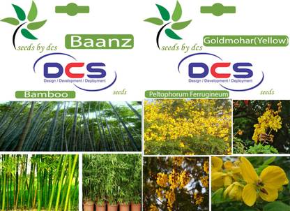 DCS Baanz & Goldmohar(yellow) Seed