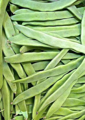 Real Seed Seam Phali - Flat Bean Seed