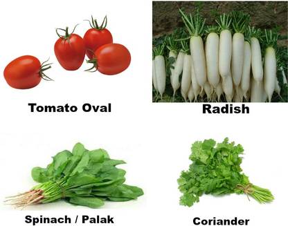 ईसी गार्डनिंग टोमेटो ओवल, मूली, स्पिनेच / पालक, धनिया बीज