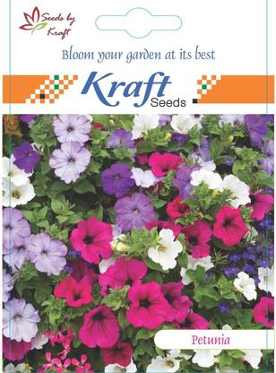 Kraft Seeds Petunia Multiflora Mix Flower Seeds By Kraft Seeds Seed