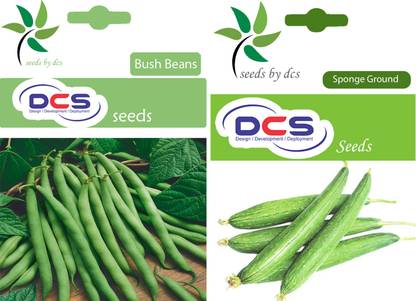 DCS Bush Beans, Sponge Ground Seeds Seed