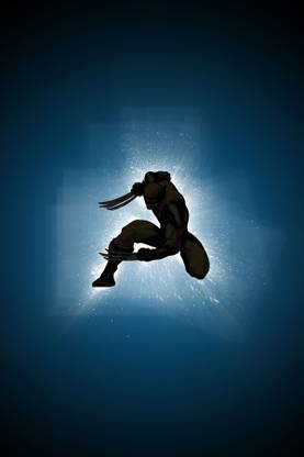 Wolverine in Action Paper Print