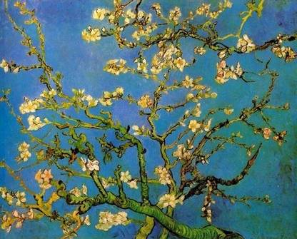 Blossoming Almond Tree Paper Print