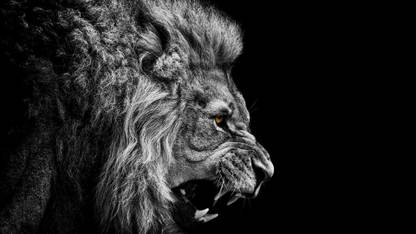 The Big Loin Paper Print