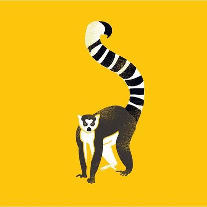 Ring Tailed Lemur - Medium Size Ready To Frame Rolled Digital Art Print On Photographic Paper