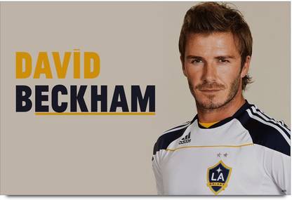 Transformers Megan Fox Poster Paper Print - Abstract, Animals posters